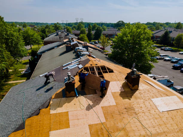 Best Roof Gutter Cleaning  in Russell, PA